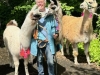 Folly-Farm-2