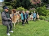 Folly-Farm