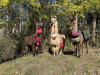 llamas-and-wattle